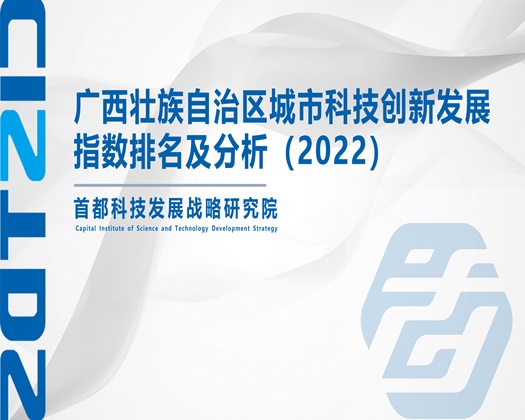 贱老女人的逼【成果发布】广西壮族自治区城市科技创新发展指数排名及分析（2022）